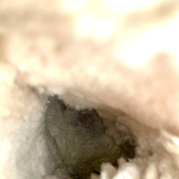 UGG Australia sequin classic short boots size 6 - Picture 7 of 9